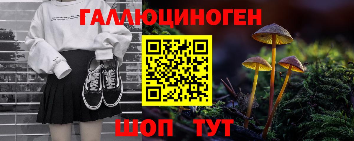 Псилоцибиновые грибы прущие грибы Шахты