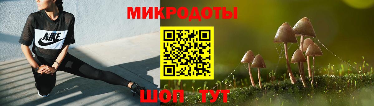 Галлюциногенные грибы Cubensis  Вход с VPN  Шахты 